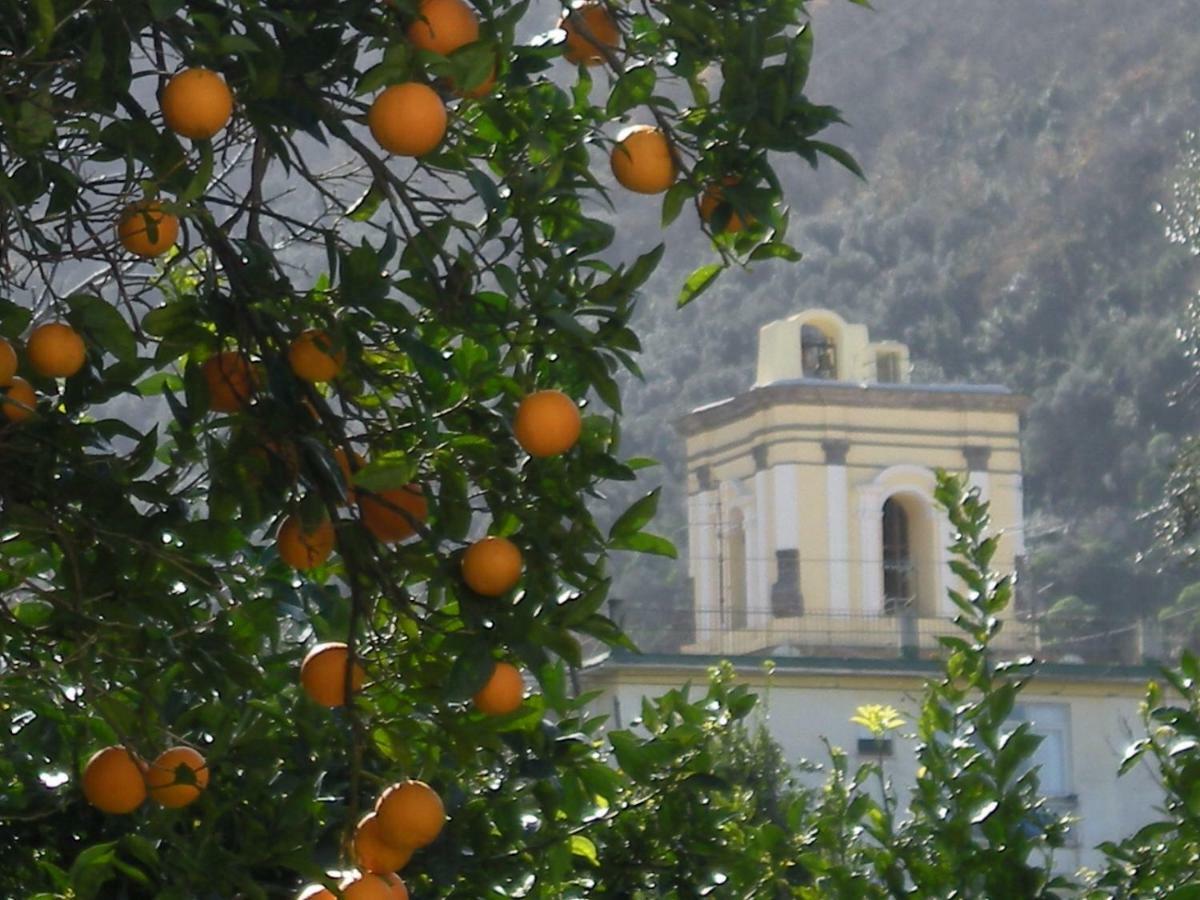 Apartamento Casa De Angelis Orange & Blue Sant'Agnello Exterior foto
